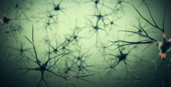 Photo of Neurons – Videohive 19208036