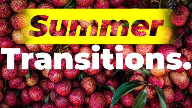Photo of Summer Transitions – MotionArray 214558