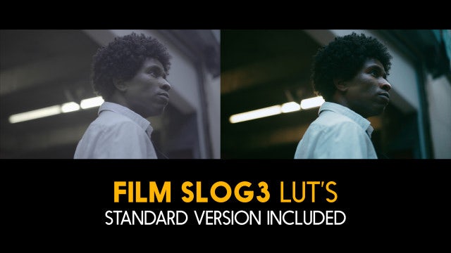 Photo of Film Slog3 And Standard Luts – MotionArray 988081