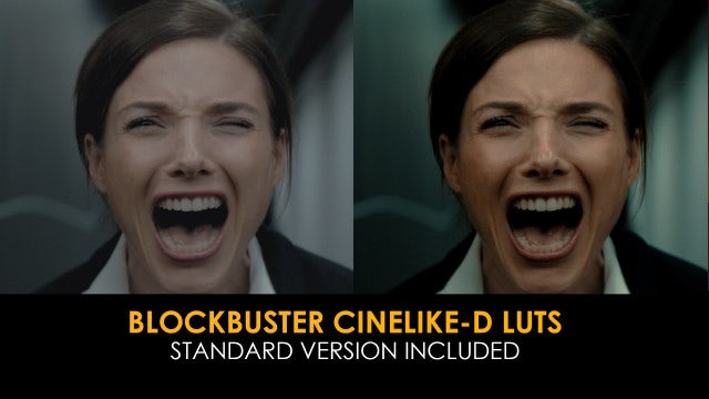 Photo of Blockbuster Cinelike-D And Standard Luts – MotionArray 1020618