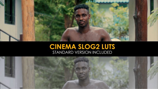 Photo of Cinema Slog2 And Standard Luts – MotionArray 1009154
