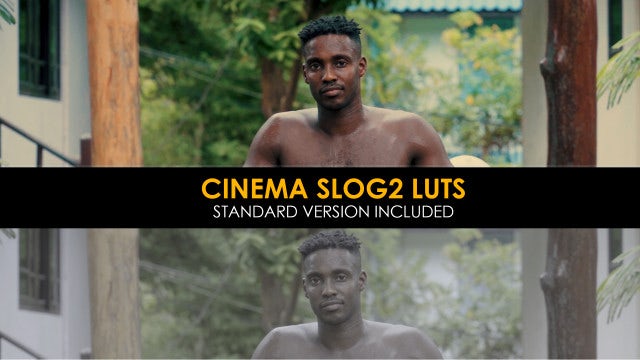 Photo of Cinema Slog2 And Standard Luts – MotionArray 1009138