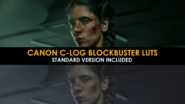 Photo of Canon C-Log Blockbuster And Standard Lut – MotionArray 1012257