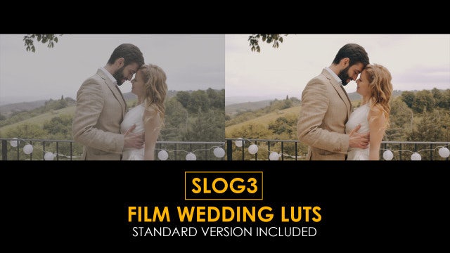 Photo of Slog3 Film Wedding And Standard Luts – MotionArray 1027127