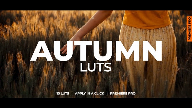 Photo of Autumn LUTs – MotionArray 1034872