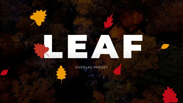 Photo of Leaf Overlays – MotionArray 1042121