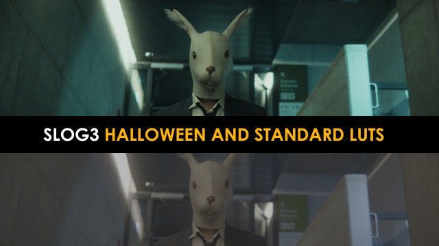 Photo of Slog3 Halloween And Standard Luts – MotionArray 1040976