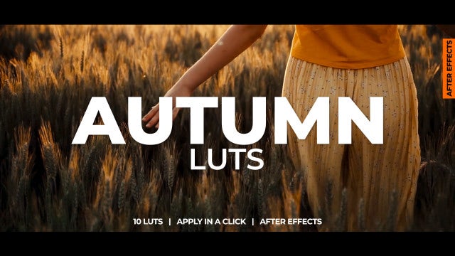 Photo of Autumn LUTs – MotionArray 1061202