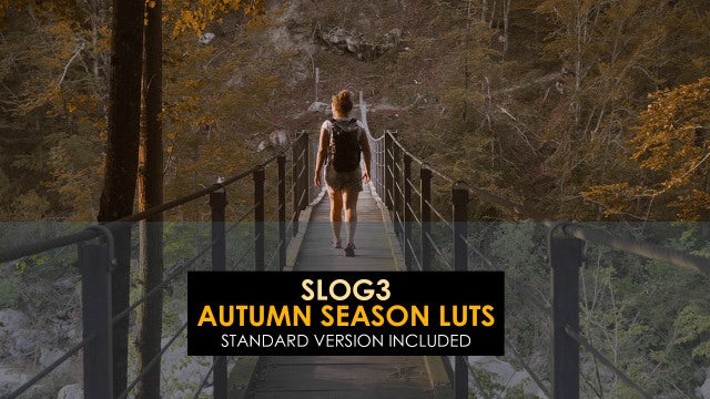 Photo of Slog3 Autumn Season Luts – MotionArray 1077418