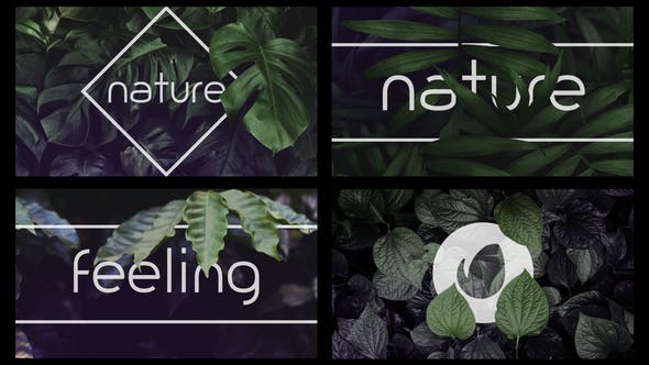 Photo of Nature Logo Intro – Videohive 36275536