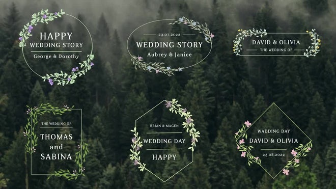 Photo of Wedding Titles – MotionArray 1124568