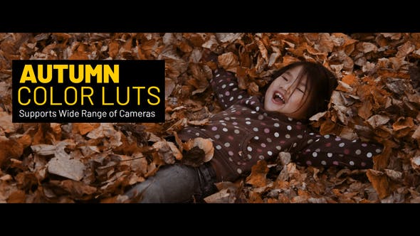Photo of Autumn LUTs – Videohive 38413510