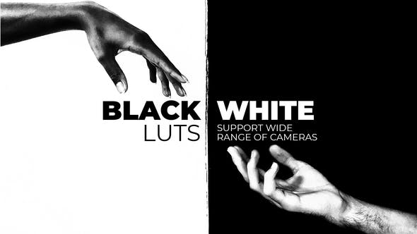 Photo of Black and White LUTs – Videohive 38399453