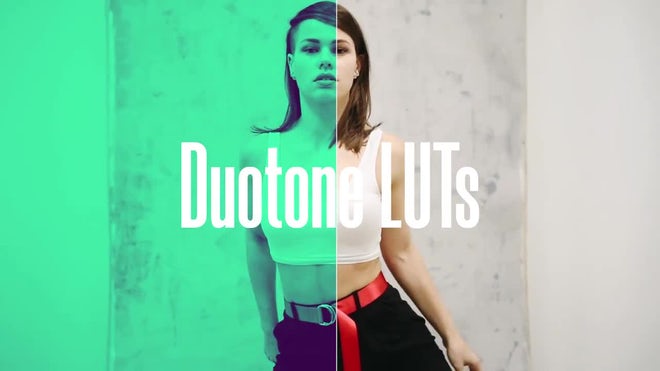 Photo of Duotone LUTs – Motionarray 1143811