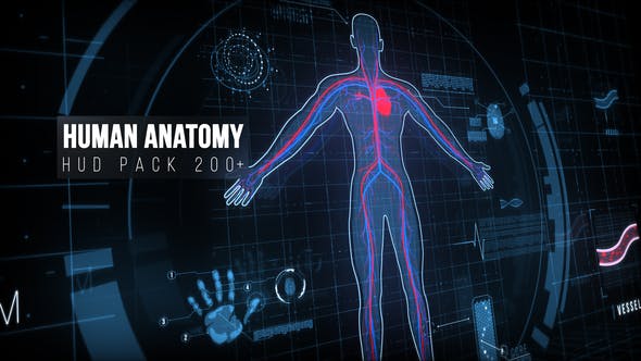 Photo of Human Anatomy HUD Pack 200+ – Videohive 22128440