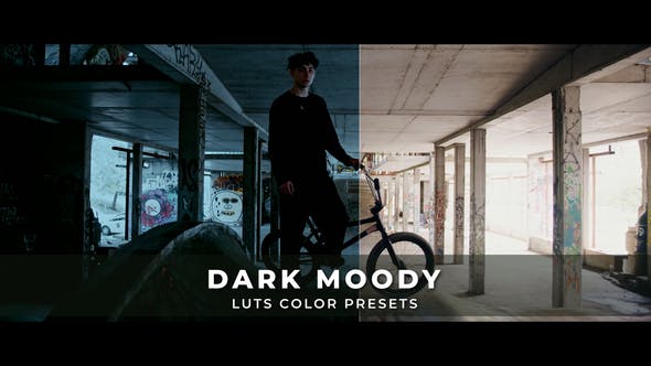 Photo of Dark Moody Luts – Videohive 43193576