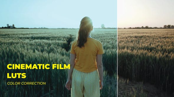 Photo of LUTs Cinematic Film – Videohive 43308814