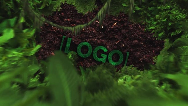 Photo of Nature Logo Reveal – Motionarray 1554521