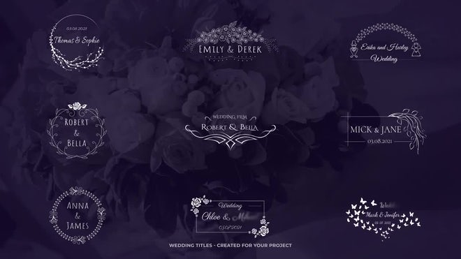 Photo of 9 Wedding Titles – Motionarray 1241769