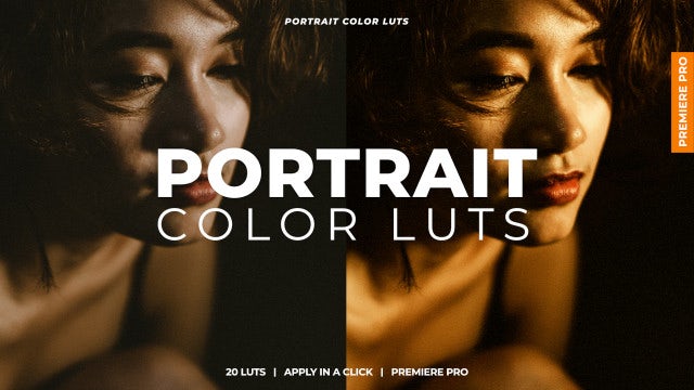 Photo of Portrait Color LUTs – Motionarray 1608493