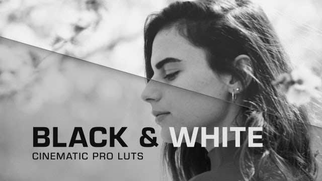 Photo of Black White Cinema LUTs – Motionarray 1672224