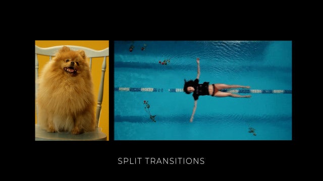 Photo of Split Transitions – Motionarray 1664674