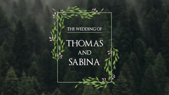 Photo of Wedding Titles – Motionarray 1693138