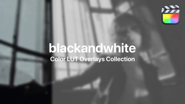 Photo of Black&White Color Presets for Final Cut Pro Vol. 01 – Videohive 48017248