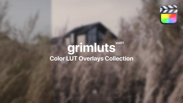 Photo of Grim Presets for Final Cut Pro Vol. 01 – Videohive 48017666