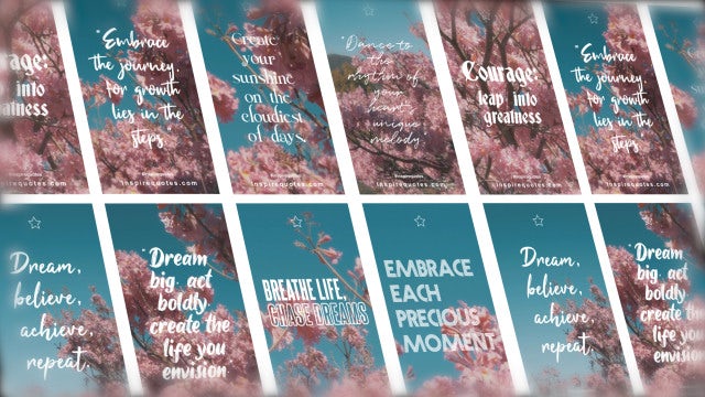 Photo of Pink Floral Quotes Stories – Motionarray 1826892