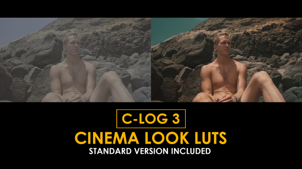 Photo of C-Log3 Cinema Look and Standard LUTs – Videohive 50923805
