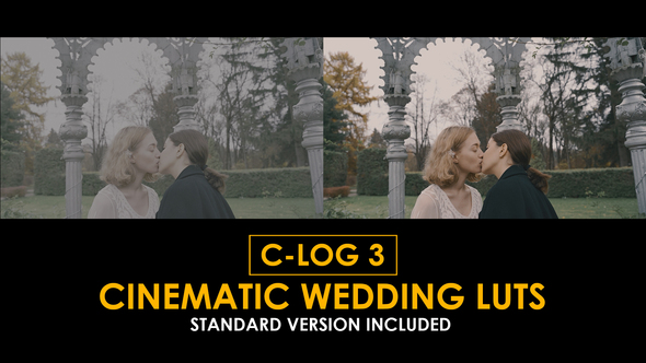 Photo of C-Log3 Cinematic Wedding and Standard Color LUTs – Videohive 50930806