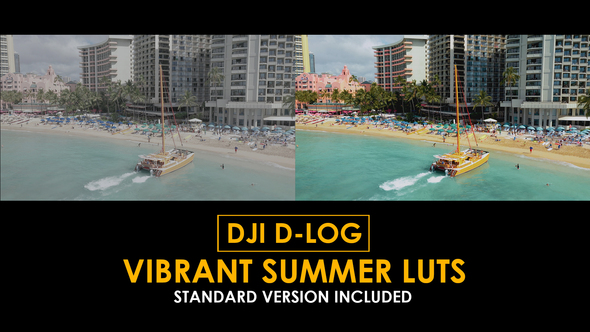 Photo of DJI D-Log Vibrant Summer LUTs – Videohive 50807838