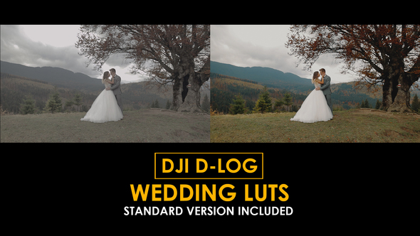 Photo of DJI D-Log Wedding LUTs – Videohive 50807784