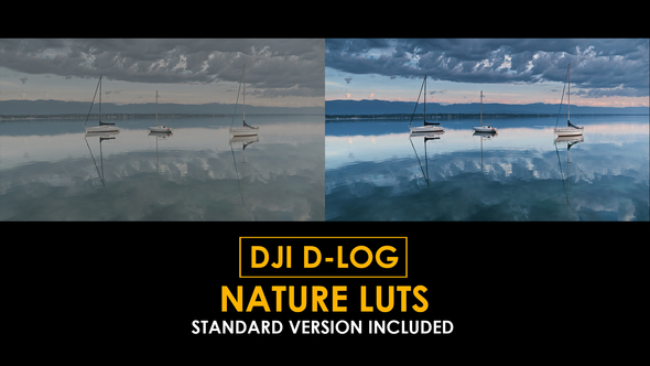 Photo of D-Log Nature Color LUTs – Videohive 50930941