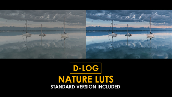 Photo of D-Log Nature LUTs – Videohive 50923213