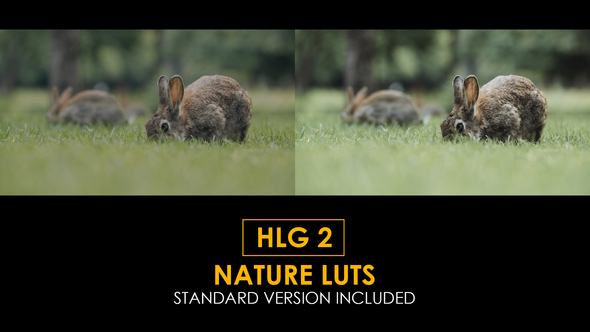 Photo of HLG2 Nature and Standard Luts – Videohive 50848877