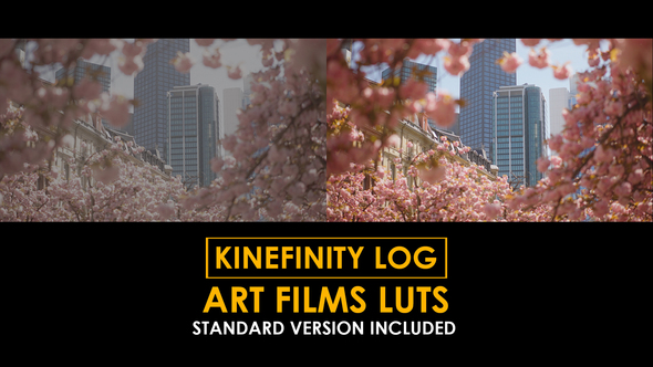 Photo of Kinefinity Log Art Films and Standard LUTs – Videohive 50848658