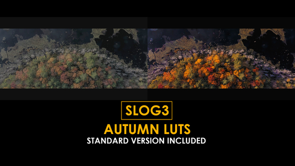 Photo of Slog3 Autumn and Standard LUTs – Videohive 50848235