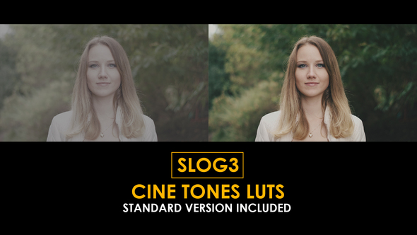 Photo of Slog3 Cine Tones and Standard LUTs – Videohive 50922905