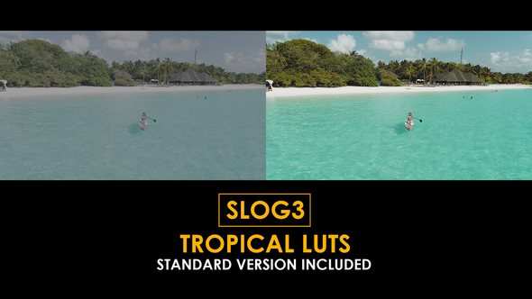 Photo of Slog3 Tropical and Standard LUTs – Videohive 50922042
