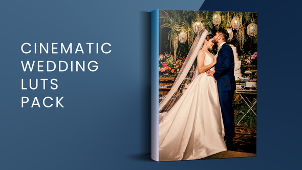 Photo of Cinematic Wedding LUTs Pack  | FCPX – Videohive 51198517