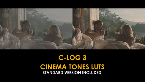 Photo of C-Log3 Cinema Tones and Standard LUTs – Videohive 51223160
