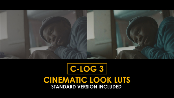 Photo of C-Log3 Cinematic Look and Standard LUTs – Videohive 51169081