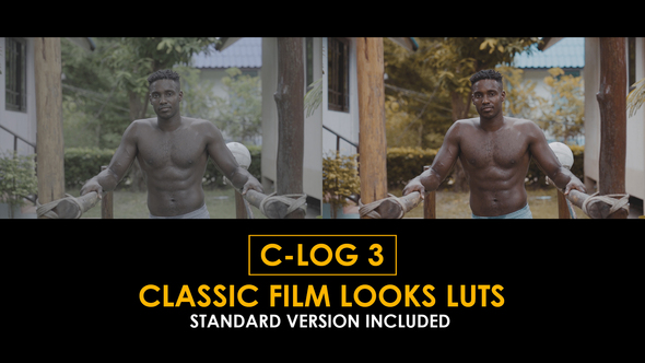 Photo of C-Log3 Classic Film Looks and Standard LUTs – Videohive 51169099