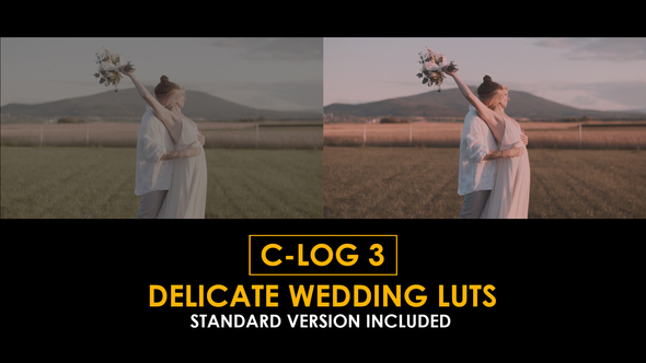 Photo of C-Log3 Delicate Wedding and Standard LUTs – Videohive 51222673