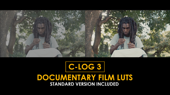 Photo of C-Log3 Documentary Film and Standard LUTs – Videohive 51222710