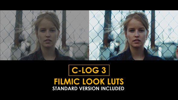 Photo of C-Log3 Filmic Look and Standard LUTs – Videohive 51223501