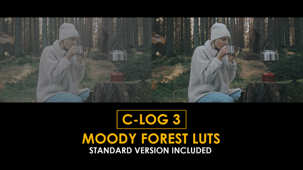 Photo of C-Log3 Moody Forest and Standard LUTs – Videohive 51223521