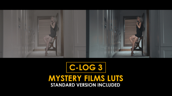 Photo of C-Log3 Mystery Film and Standard LUTs – Videohive 51169190